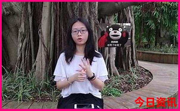 洛阳夏季适合带孩子玩的地方